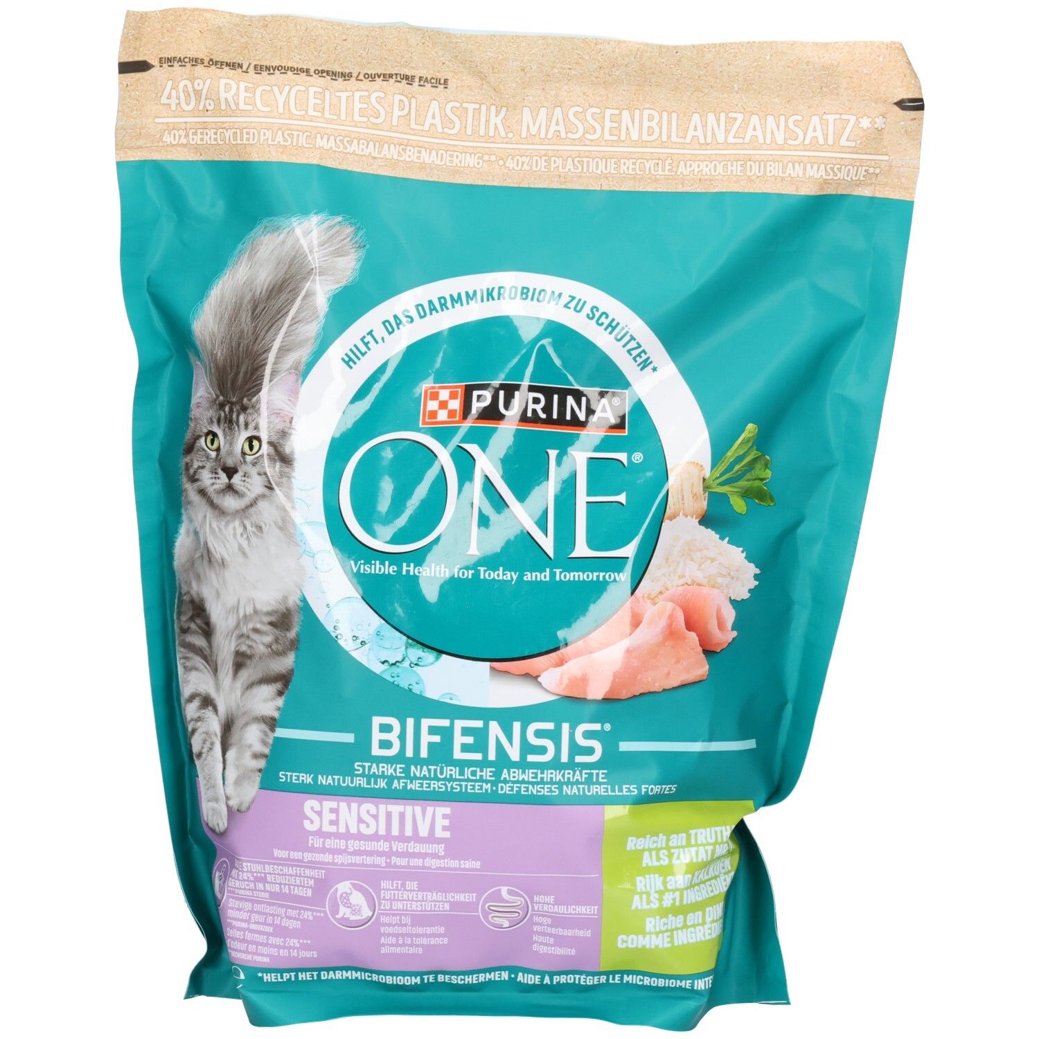 Vorderseite einer Packung Purina ONE Katzenfutter mit einem Bild einer Katze und Lachs.