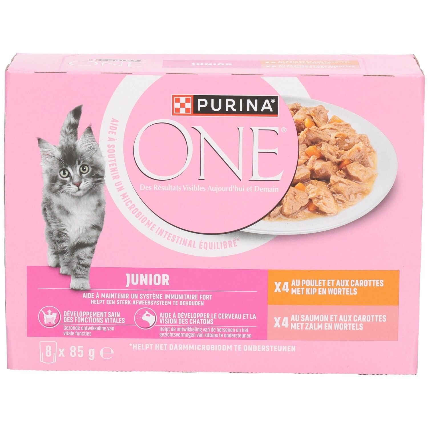 Purina One Bifensis Junior Katzenfutter, 1-12 Monate, 300g.