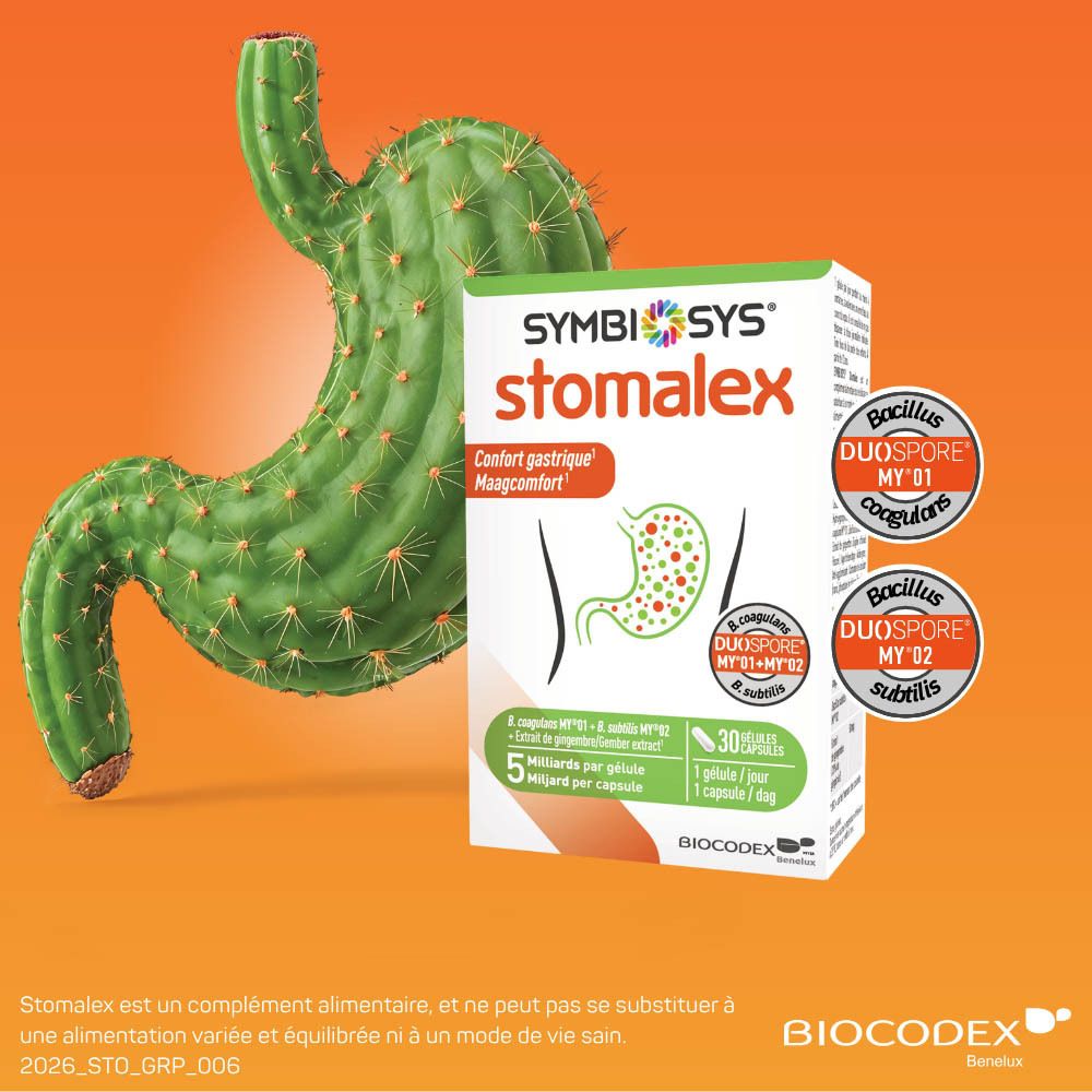 Stomalex: Kaktusförmiger Magen. Für das Wohlbefinden des Magens.