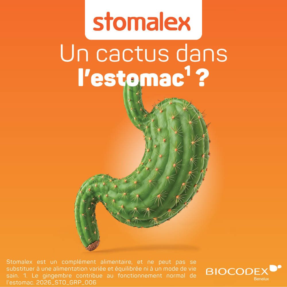 Stomalex: Kaktusförmiger Magen mit Produktverpackung. Für das Wohlbefinden des Magens.