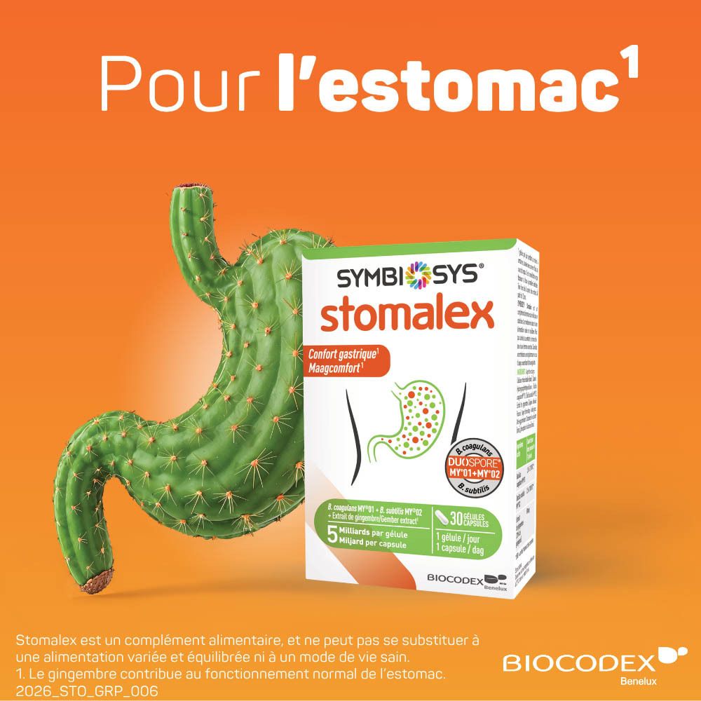Stomalex: Kaktusförmiger Magen und Produktverpackung. Für das Wohlbefinden des Magens.