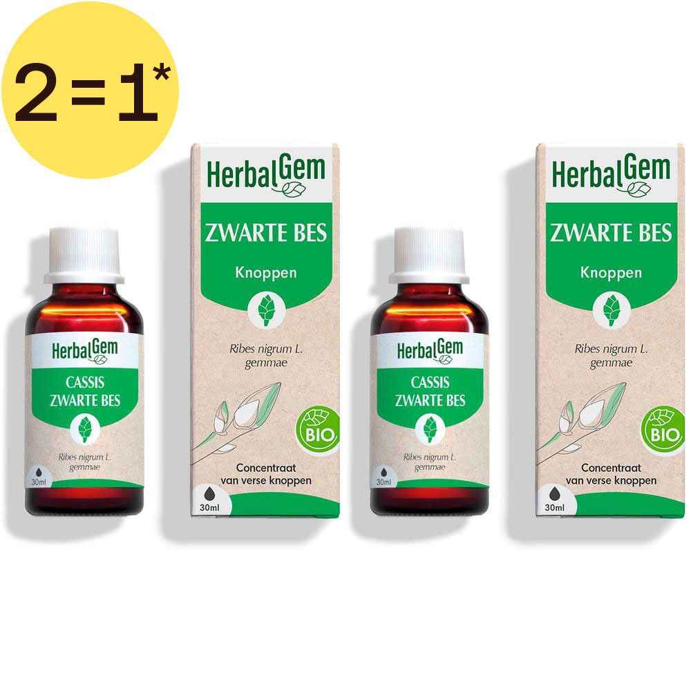 Zwei Flaschen und Schachteln HerbalGem Schwarze Johannisbeere Knospen Extrakt. Bio-Siegel und 2=1* Aufkleber sichtbar.
