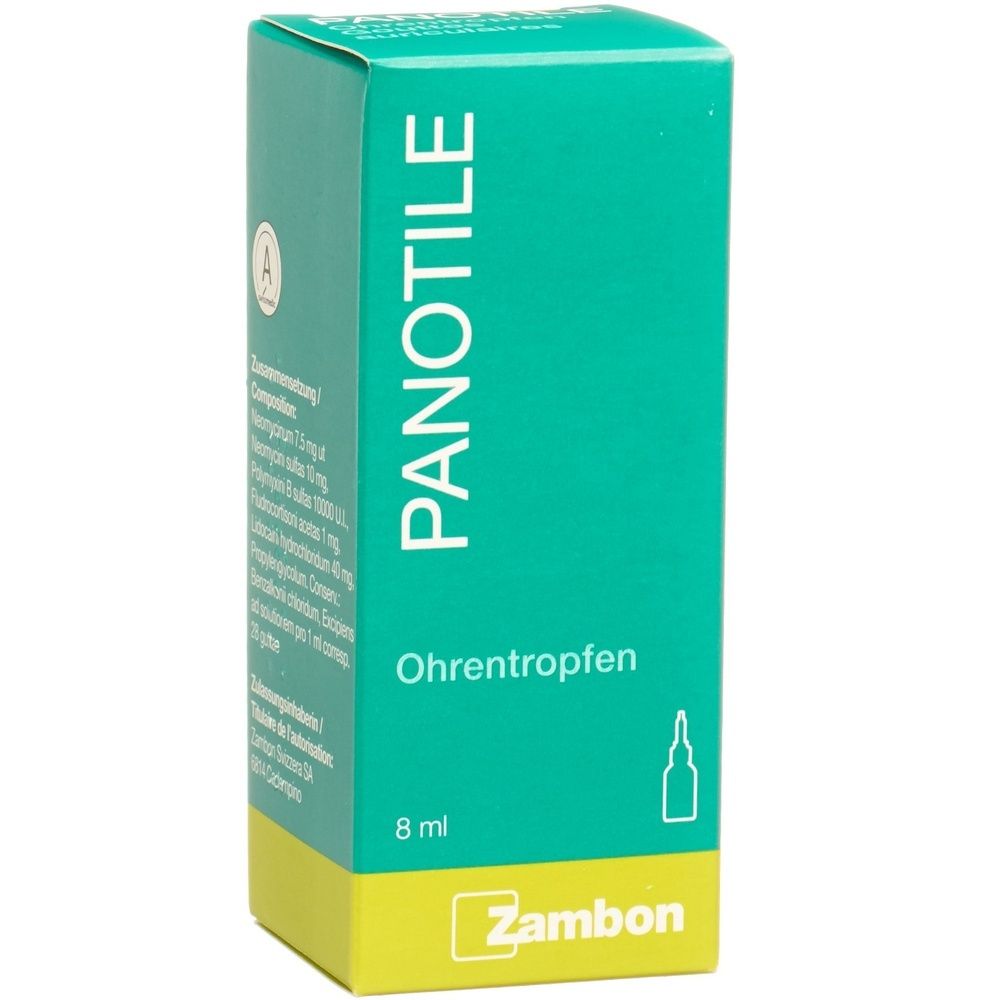 Kartonverpackung, grün-gelb. Schriftzug PANOTILE. Aufschrift auf der Verpackung.