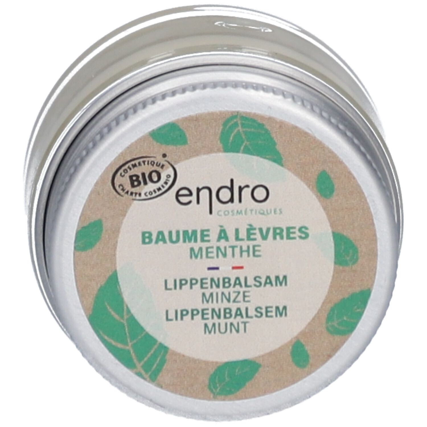 Endro Lippenbalsam Minze