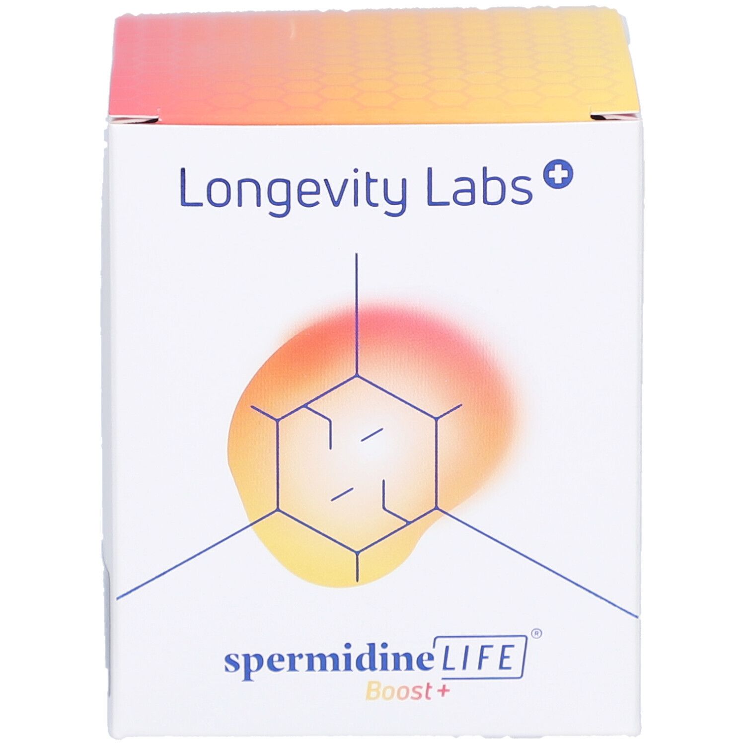 Weißer Karton mit Produktnamen und Logo. Enthält Longevity Labs+, spermidineLIFE Boost+. Abbildung eines Sechsecks.