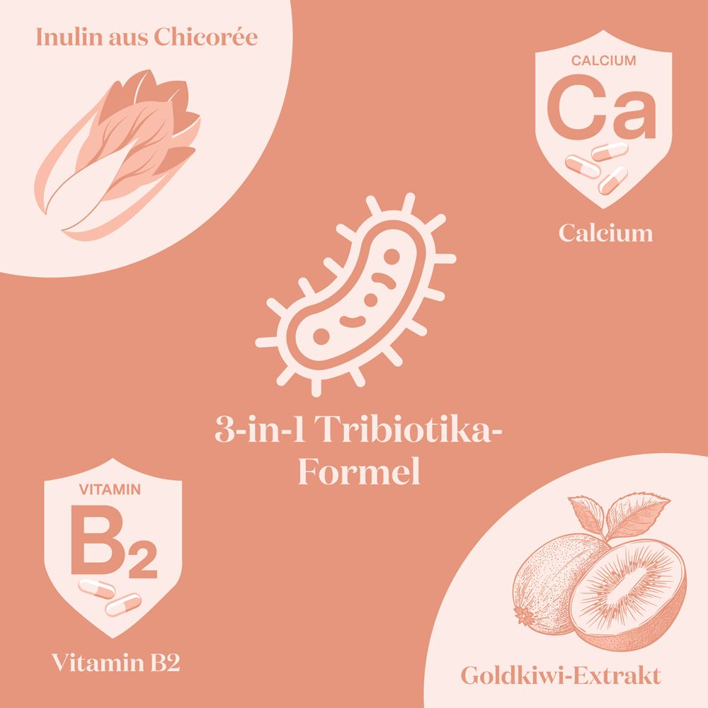 Grafiken zeigen Chicorée-Inulin, Calcium, Vitamin B2 und Kiwi-Extrakt. 3-in-1 Tribiotika-Formel.
