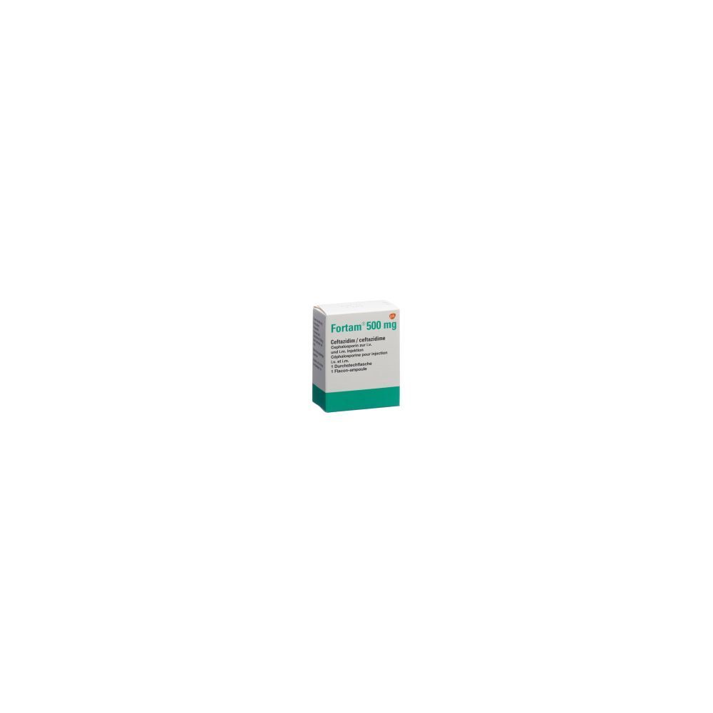FORTAM Trockensub 500 mg Durchstf