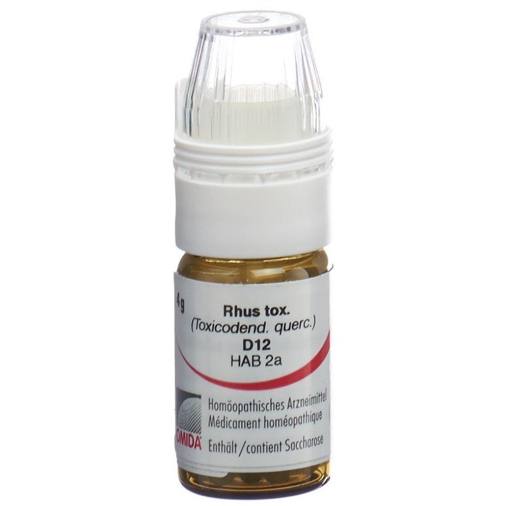 OMIDA Rhus toxicodendron Glob D 12 Dosierhilfe 4 g