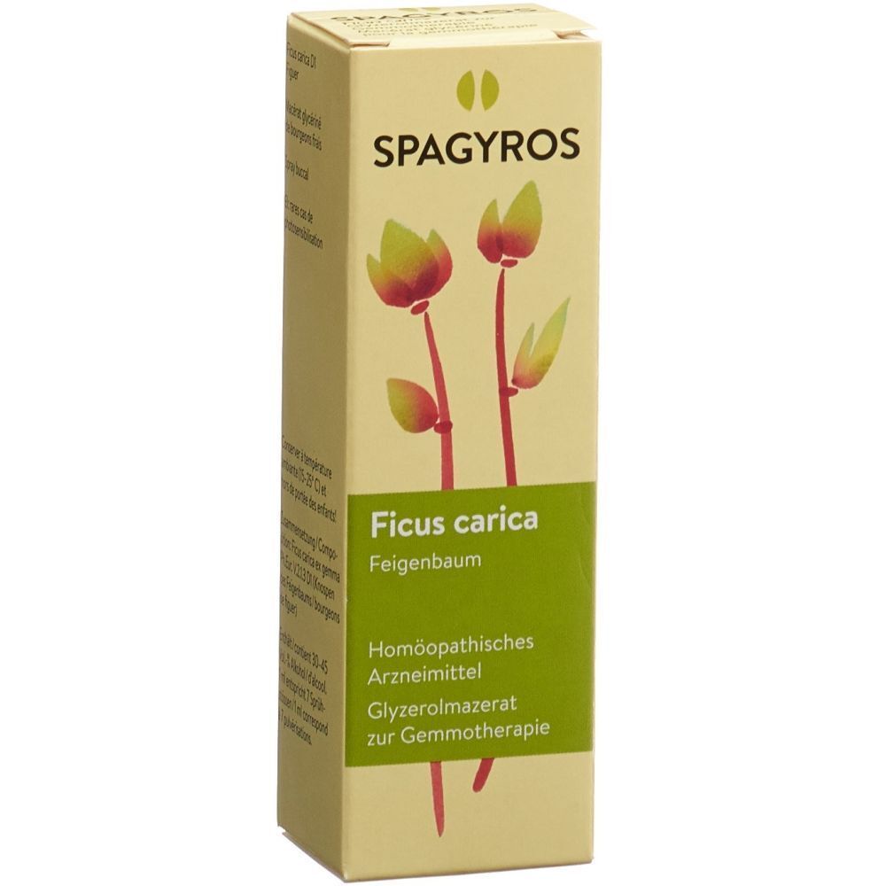 Beige Schachtel mit Produktinformationen. Oben steht SPAGYROS. Darunter Ficus carica. Homöopathisches Arzneimittel.