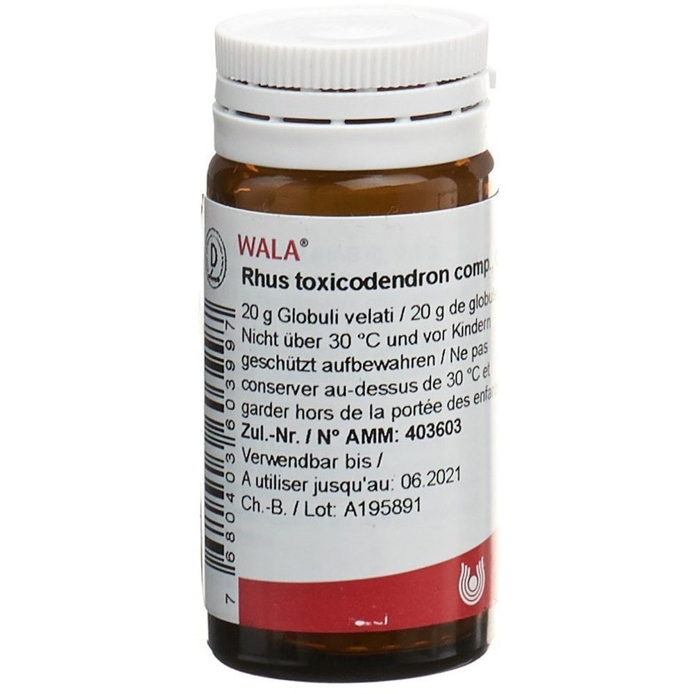 WALA Rhus toxicodendron comp Glob Fl 20 g