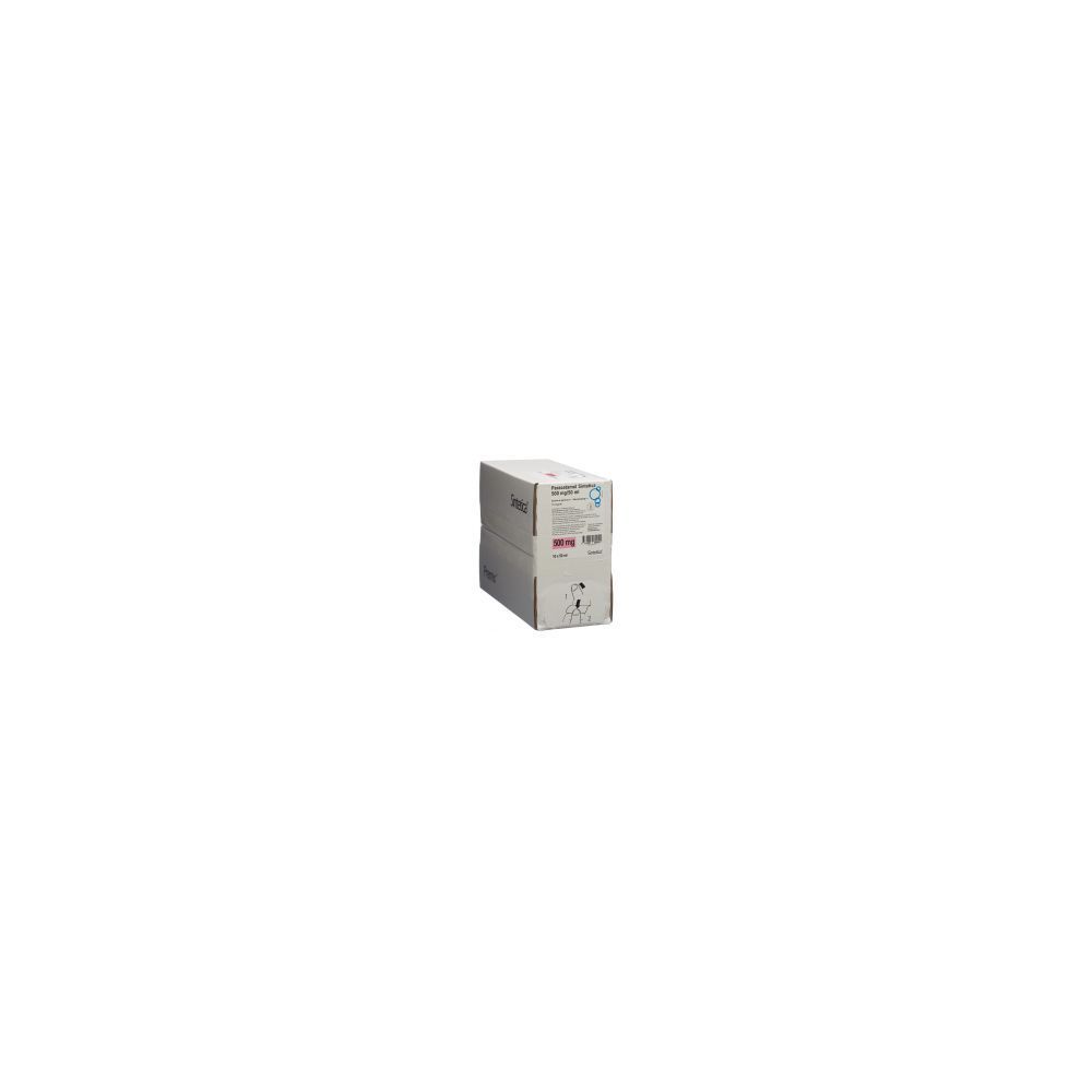 PARACETAMOL Sintetica 500 mg/50ml 10 Btl 50 ml