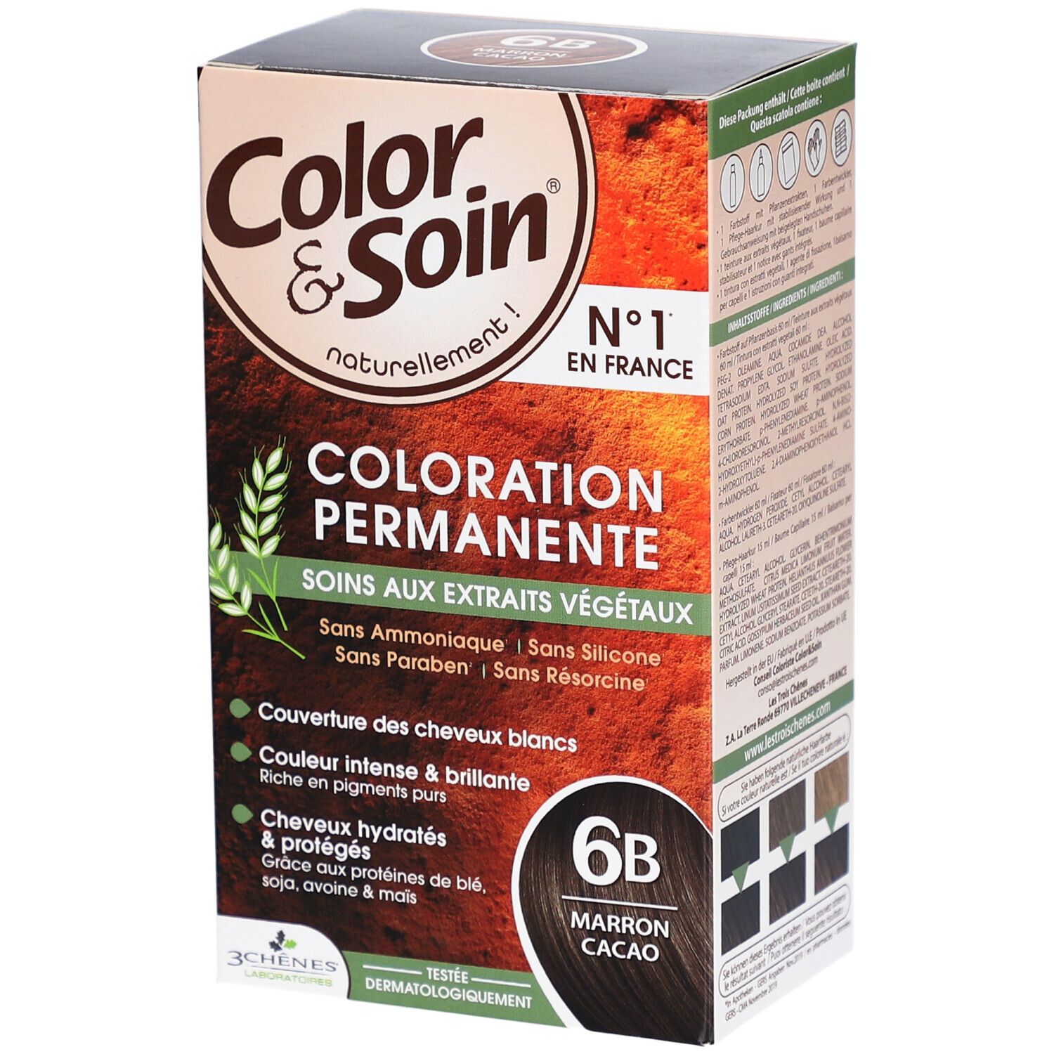 Color & Soin® Dauerhafte Haarfarbe 6B Sonniges Dunkelblond