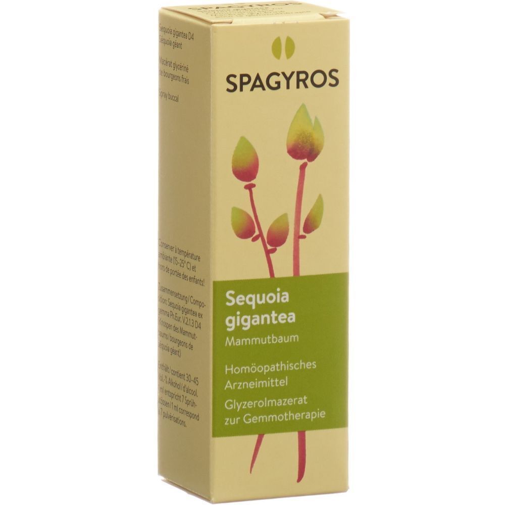 SPAGYROS GEMMO Sequoia gigant Glyc Maz D 4 30 ml