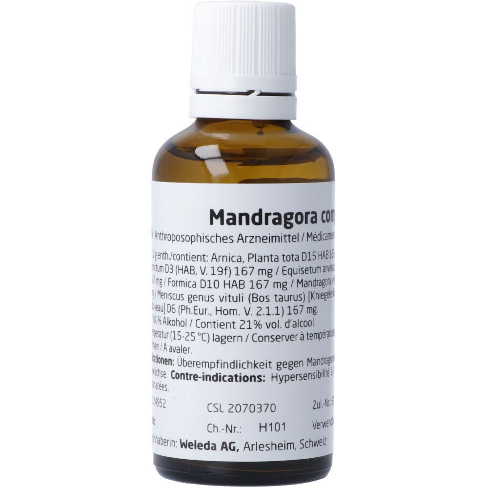 WELEDA Mandragora comp Dil 50 ml