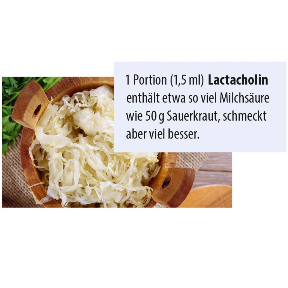 Dr. Jacob's LactaCholin Milchsäure Vitamin-B-Komplex Cholin