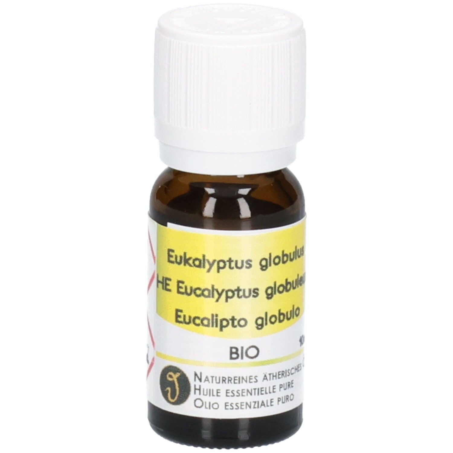 Braune Glasflasche mit weißem Schraubverschluss, gefüllt mit Eukalyptusöl. Etikett mit "Eukalyptus globulus BIO" und "Naturreines ätherisches Öl".