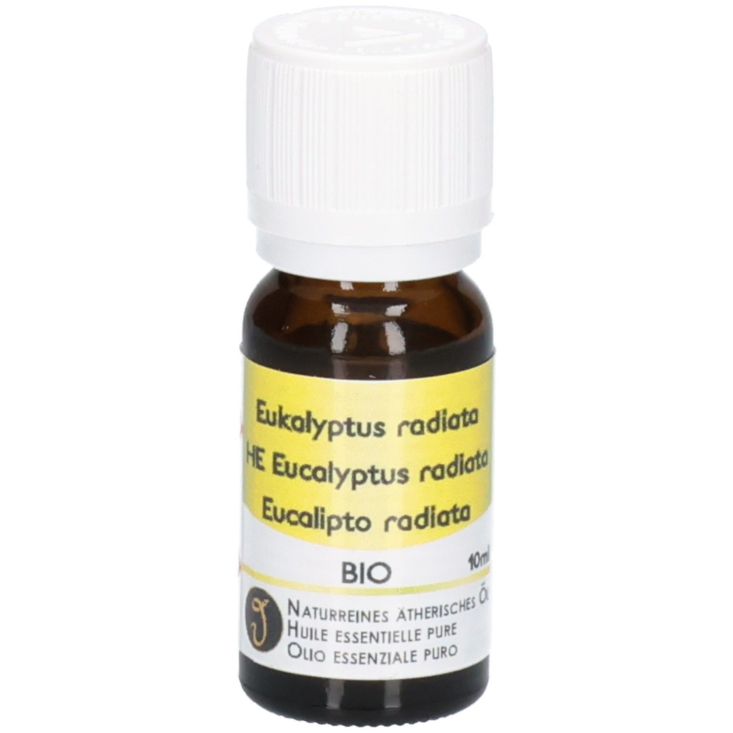 Braune Glasflasche mit weißem Schraubverschluss, gefüllt mit Eucalyptus radiata ätherischem Öl. Gelbes Etikett mit Produktinformationen und BIO-Siegel.