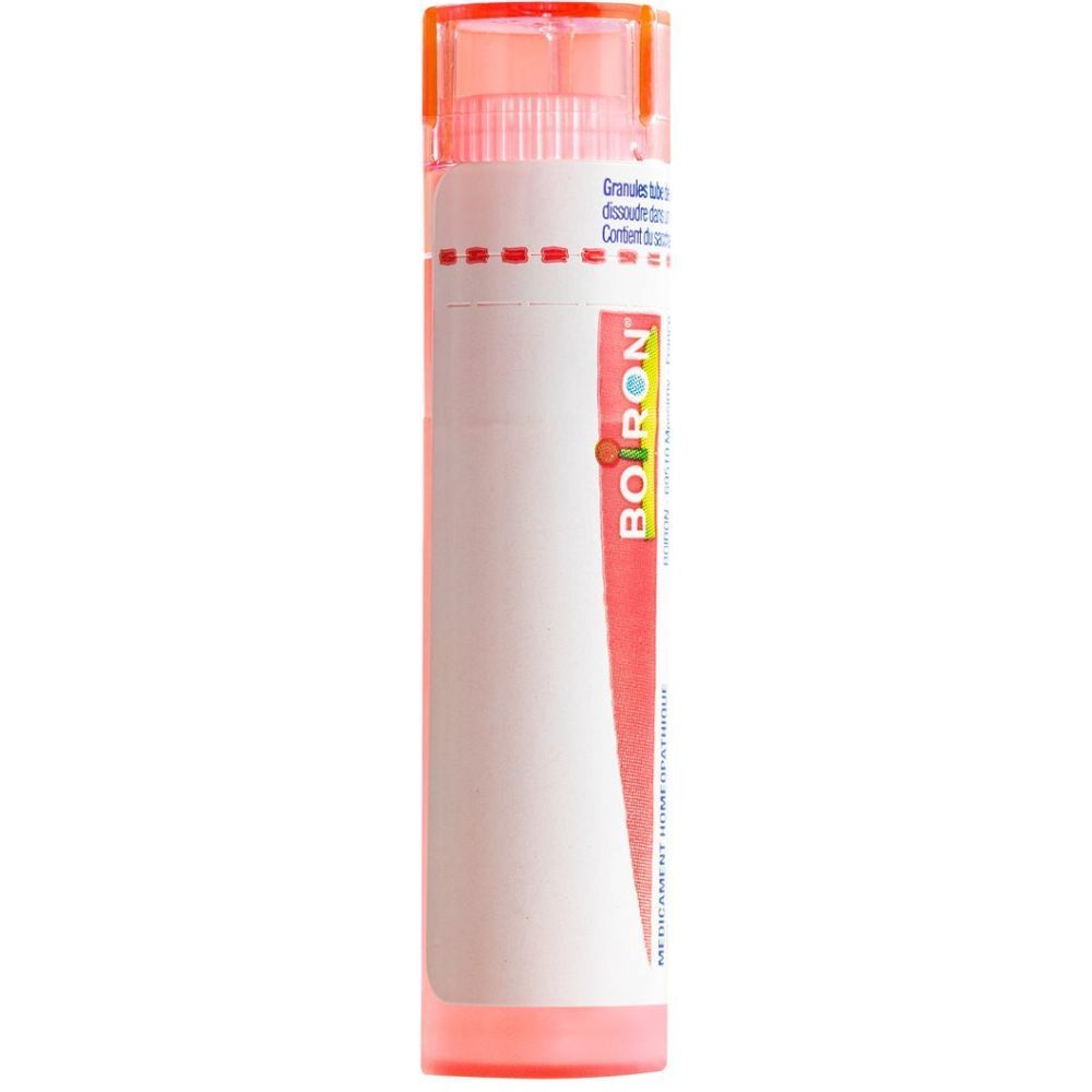 BOIRON Graphites Gran CH 7 4 g
