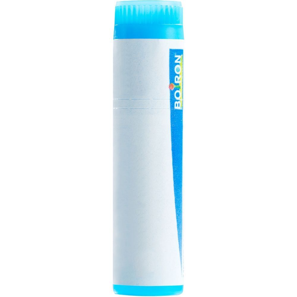 BOIRON Bryonia Glob CH 9 1 Dos