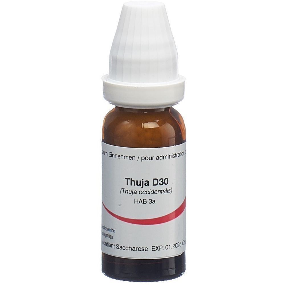 OMIDA Thuja Glob D 30 14 g - Redcare Apotheke