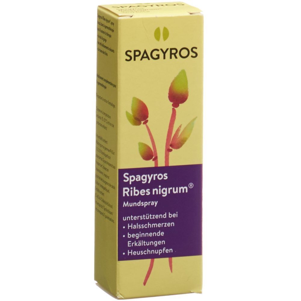 SPAGYROS Ribes nigrum Mundspray D 1 30 ml