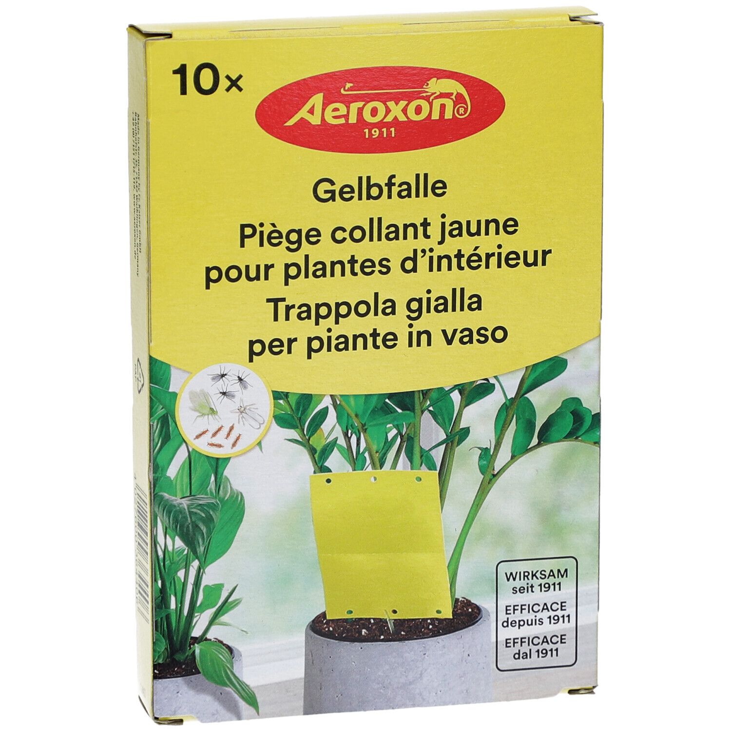 Gelbfalle-Verpackung mit Produkt und Pflanze. Gelbe Falle im Topf. Text: AeroXon, Gelbfalle, 10x.