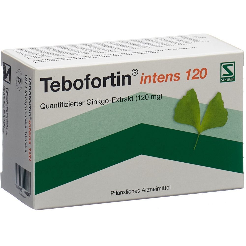 TEBOFORTIN intens 120 Filmtabl 120 mg 90 Stk