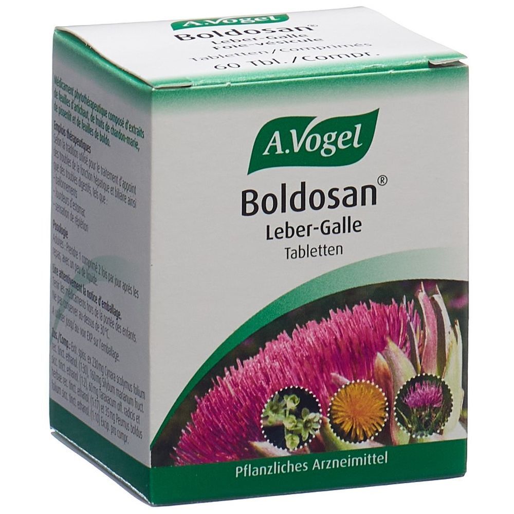 Kartonverpackung von A. Vogel Boldosan Leber-Galle Tabletten. Grün-weiße Schachtel mit Produktnamen und floralen Illustrationen.