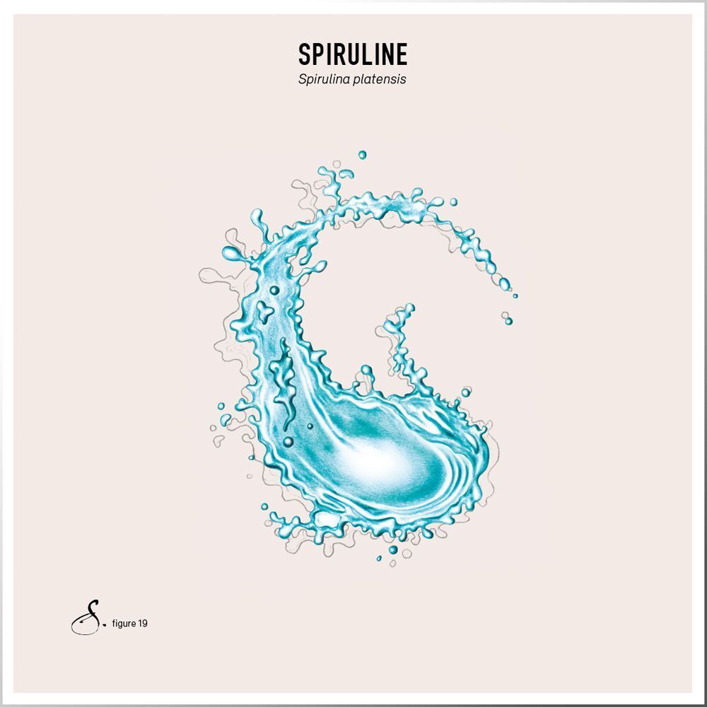 Illustration carrée avec design d'eau bleue. 'SPIRULINE' en haut. Logo en bas à gauche.