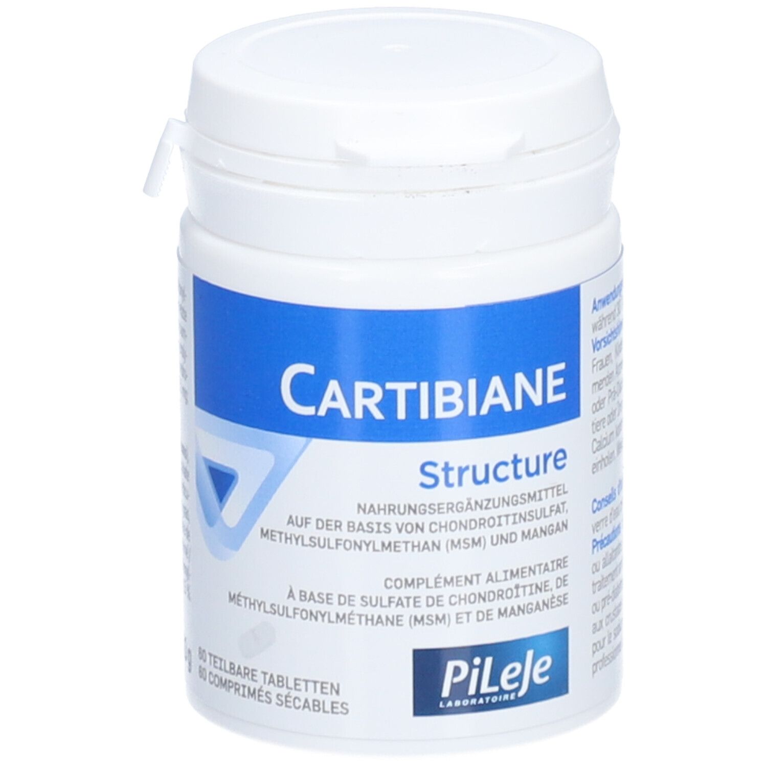 PILEJE Cartibiane Structure