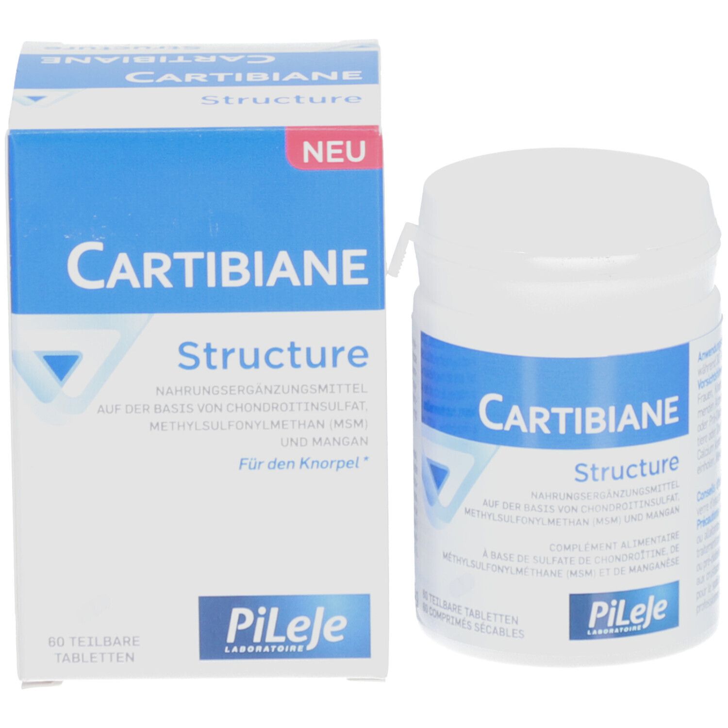 PILEJE Cartibiane Structure