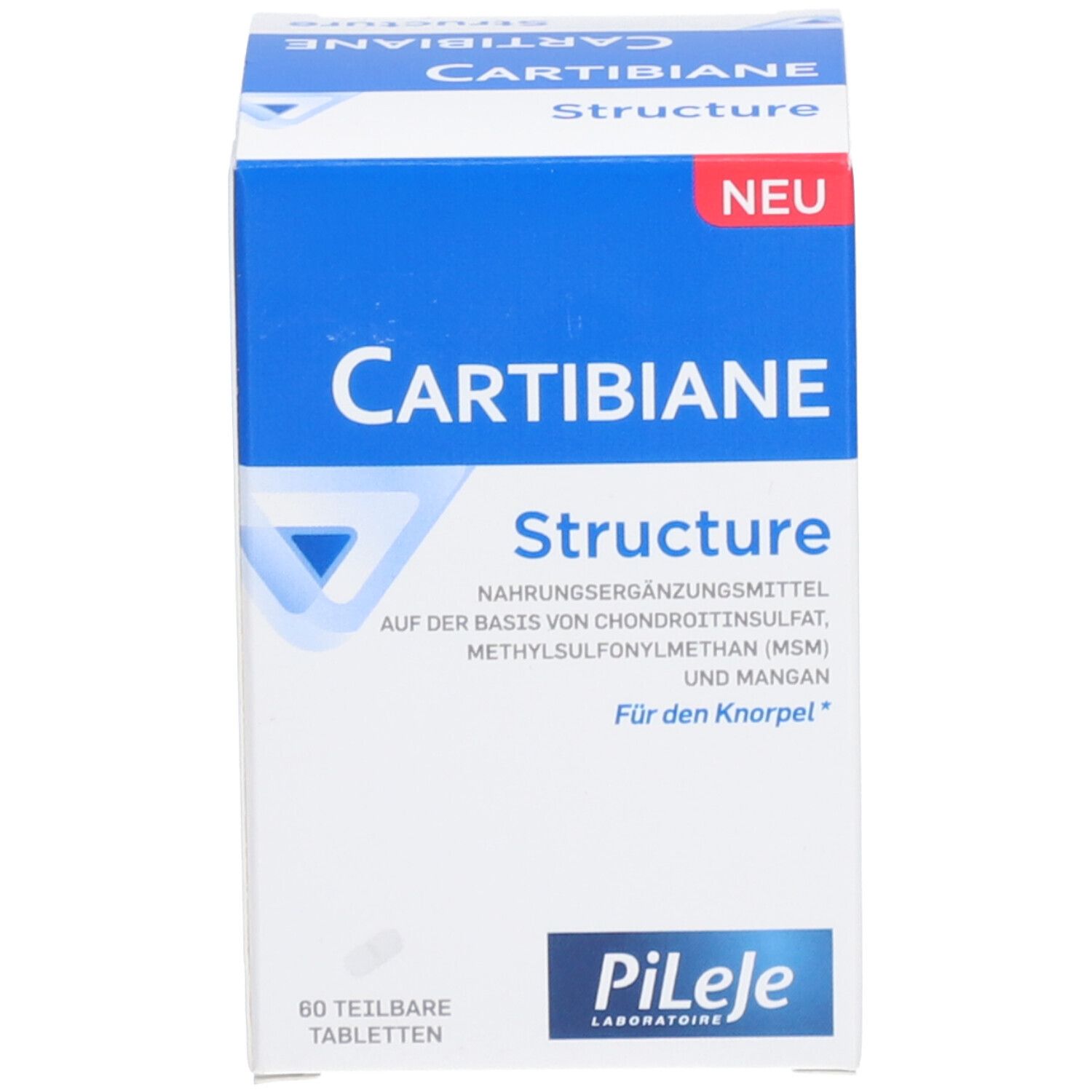 PILEJE Cartibiane Structure