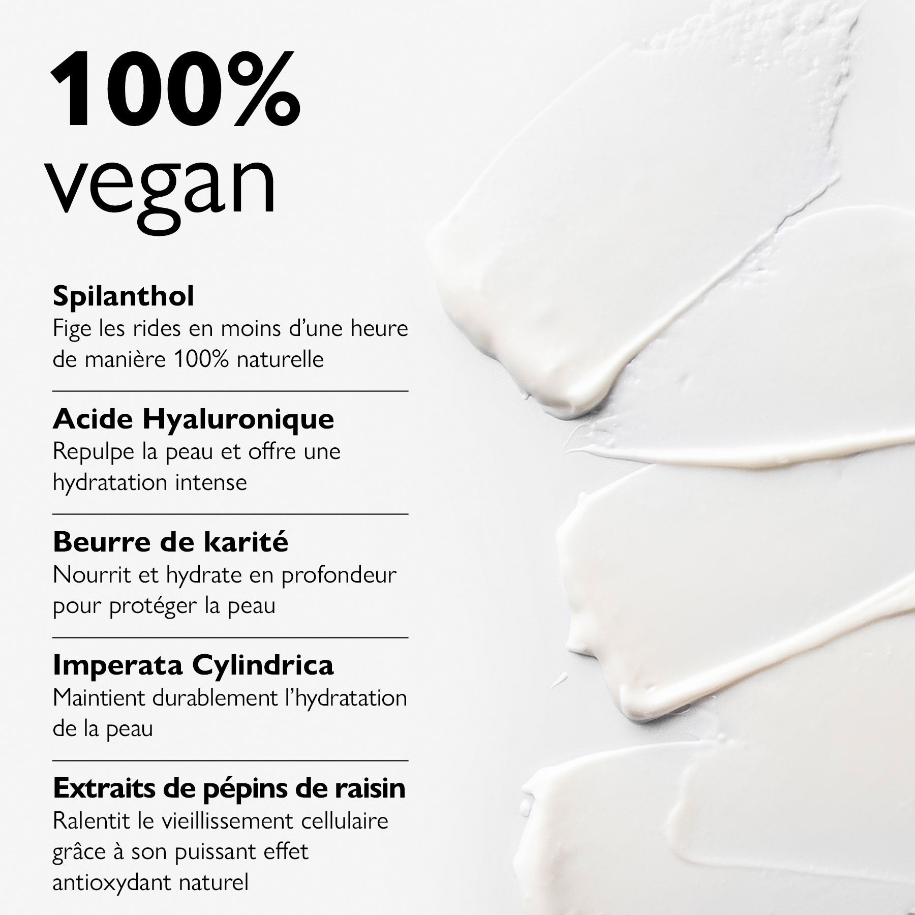 Texte et traits de crème. Texte : 100% vegan. Ingrédients : Spilanthol, acide hyaluronique, beurre de karité.