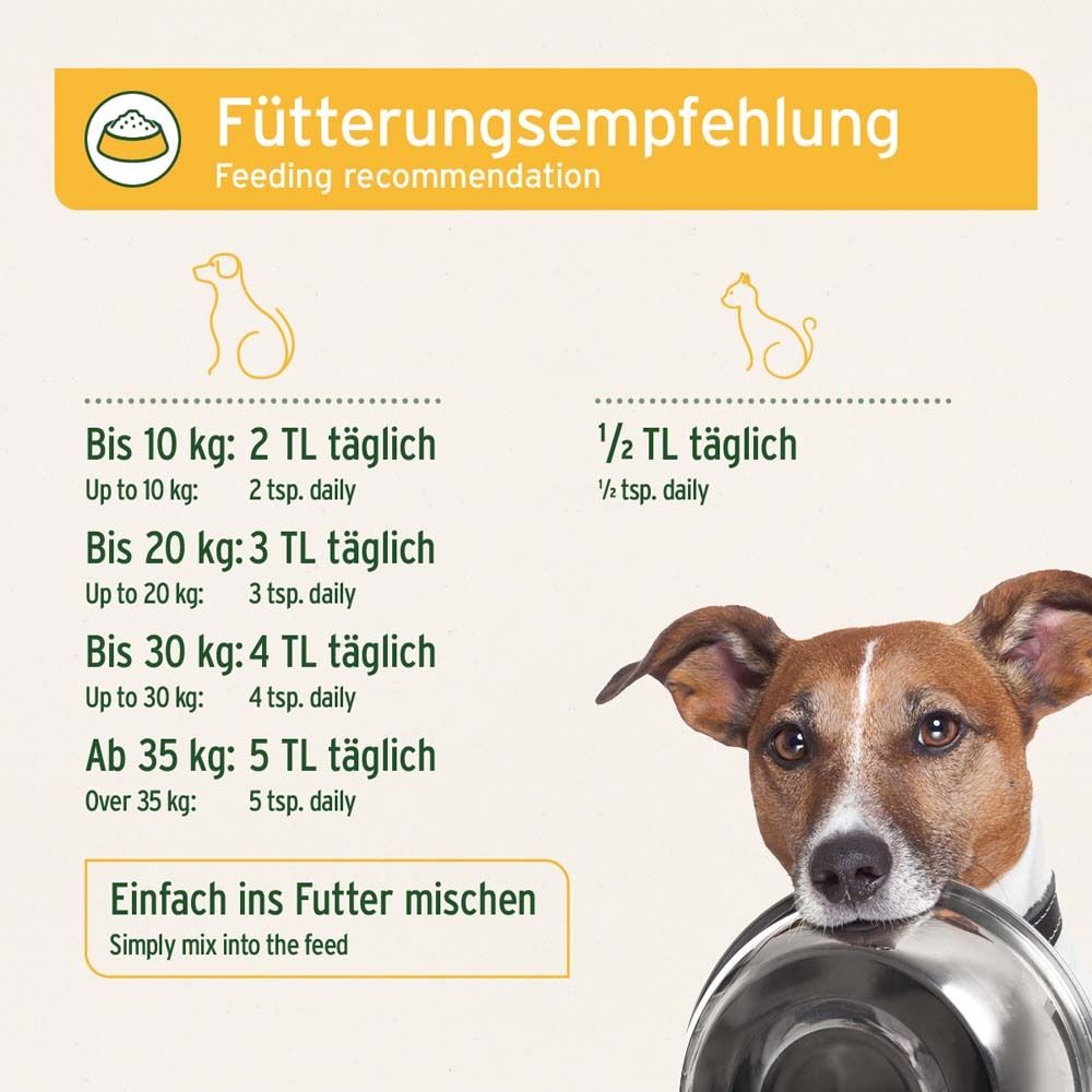 Recommandations alimentaires pour chiens et chats. Dosage en cuillères à café. Chien avec gamelle.