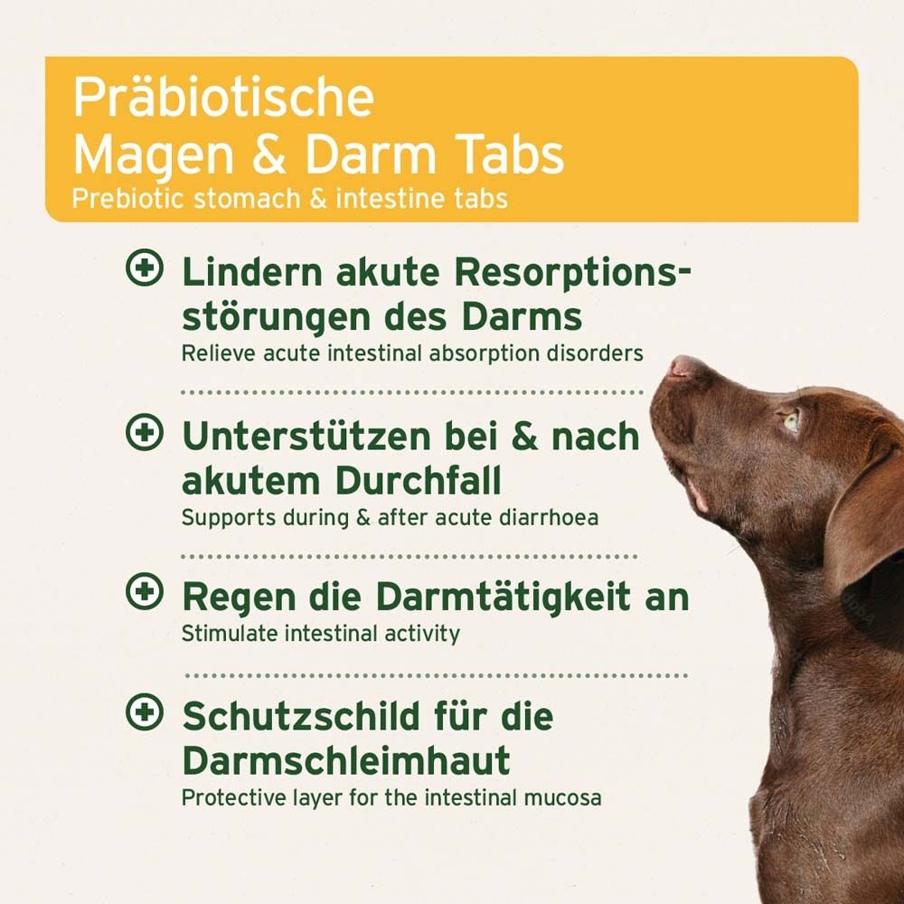 Chien brun. Texte : Comprimés prébiotiques estomac et intestins. Soulagent les troubles d'absorption intestinale aiguë. Soutiennent la diarrhée.