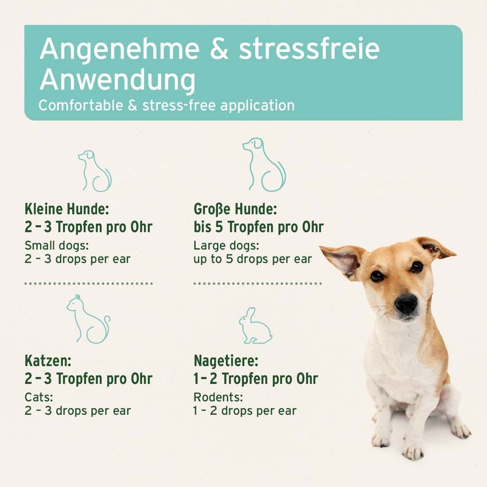 Hund mit Text: Kleine Hunde: 2-3 Tropfen pro Ohr. Katzen: 2-3 Tropfen pro Ohr. Große Hunde: bis 5 Tropfen pro Ohr.