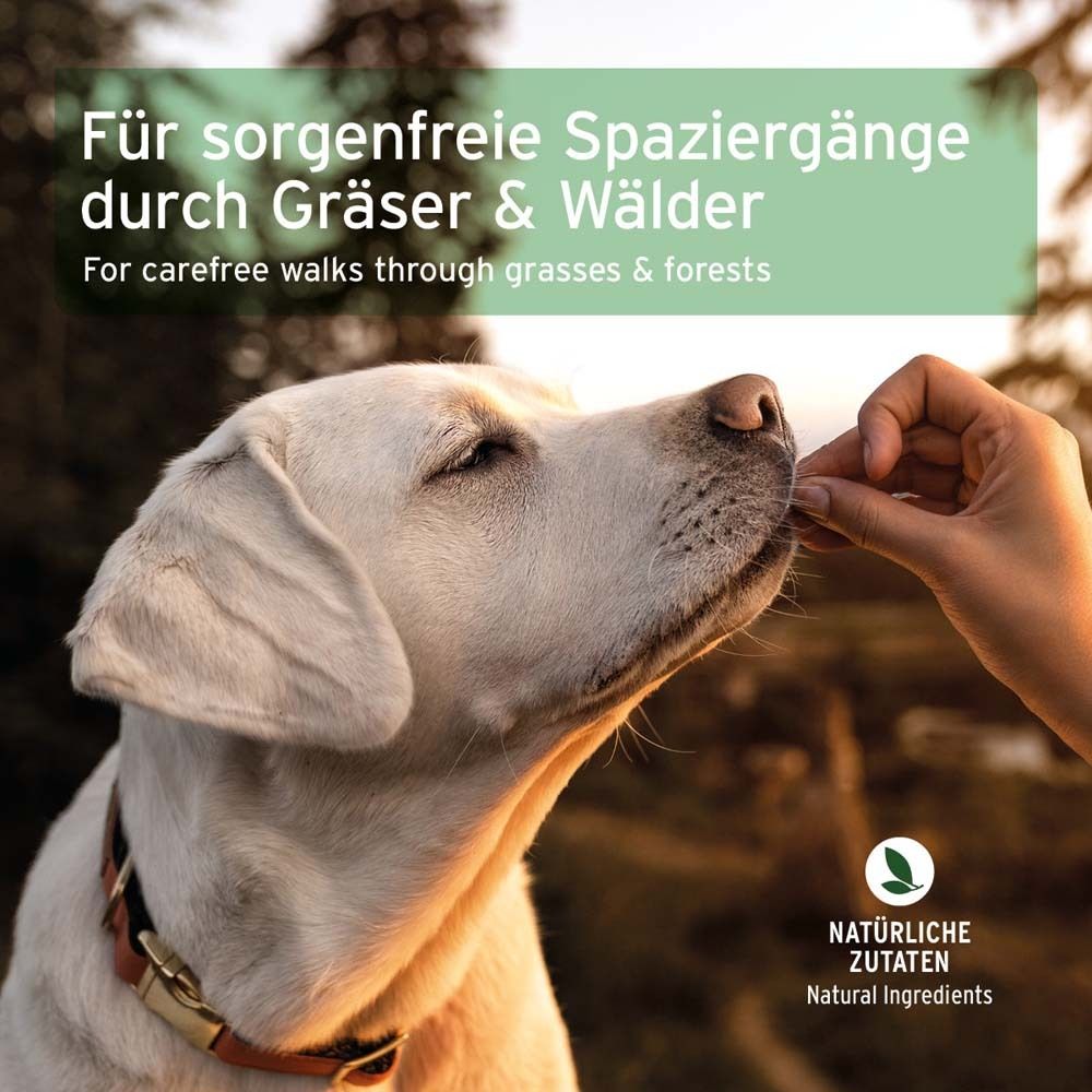 Chien recevant une collation de la main. Texte : Pour des promenades insouciantes à travers les herbes et les forêts. Ingrédients naturels.
