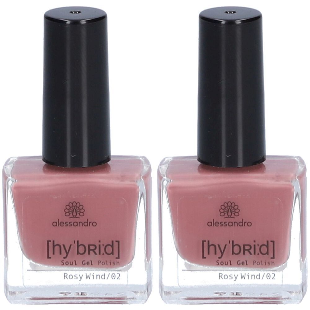 alessandro Hybrid Rosy Wind
