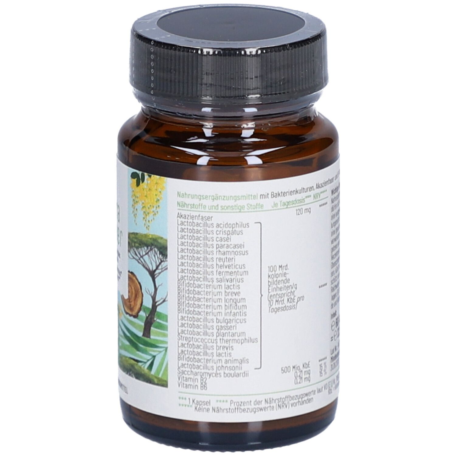NATURTREU Magische Flora Komplex 23 Stämme
