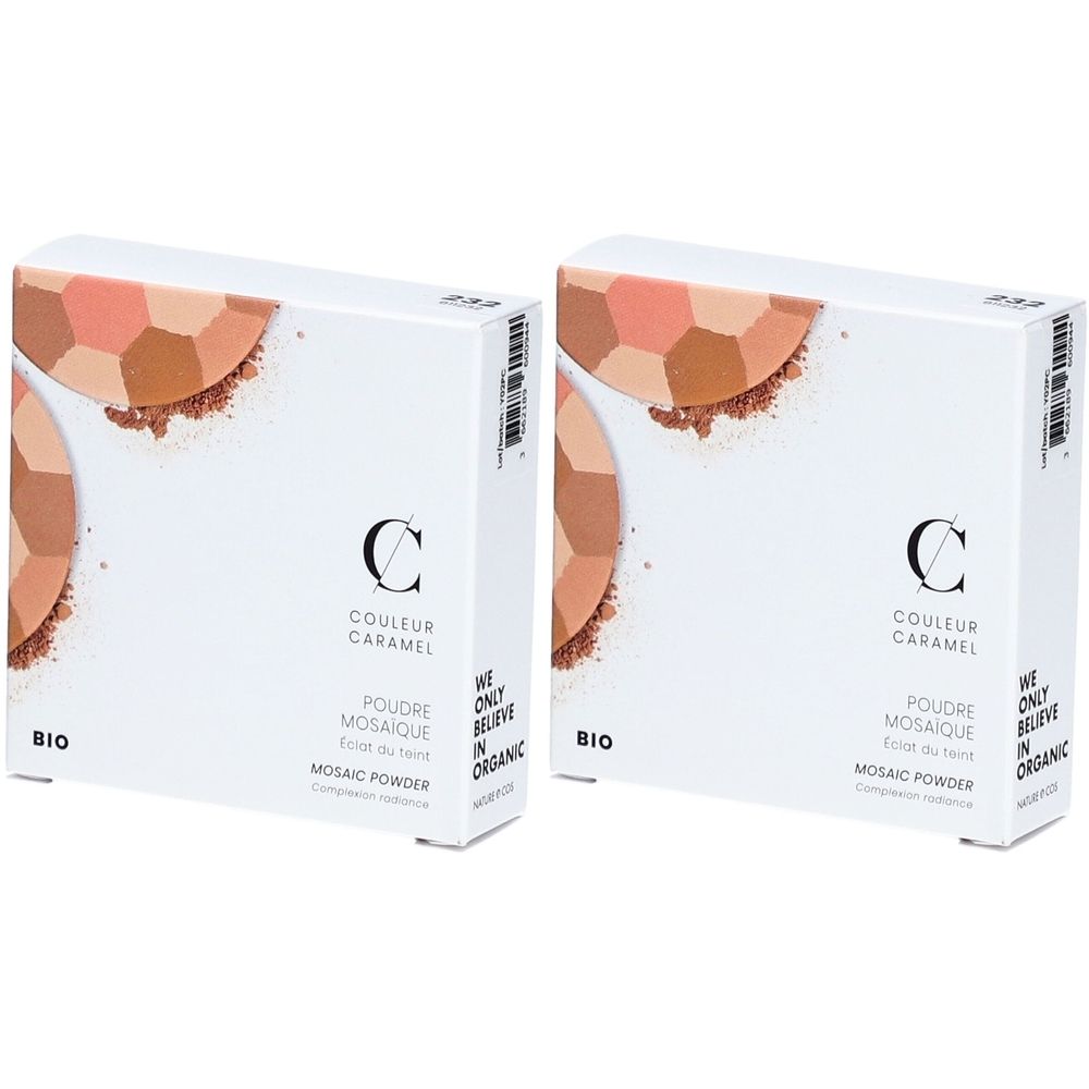 COULEUR CARAMEL Poudre Mosaïque Bio Teint clair