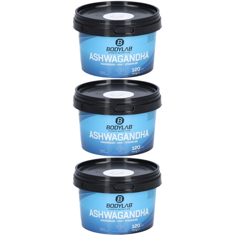 Bodylab24 Ashwagandha + Magnesium + Zink + Vitamin B6