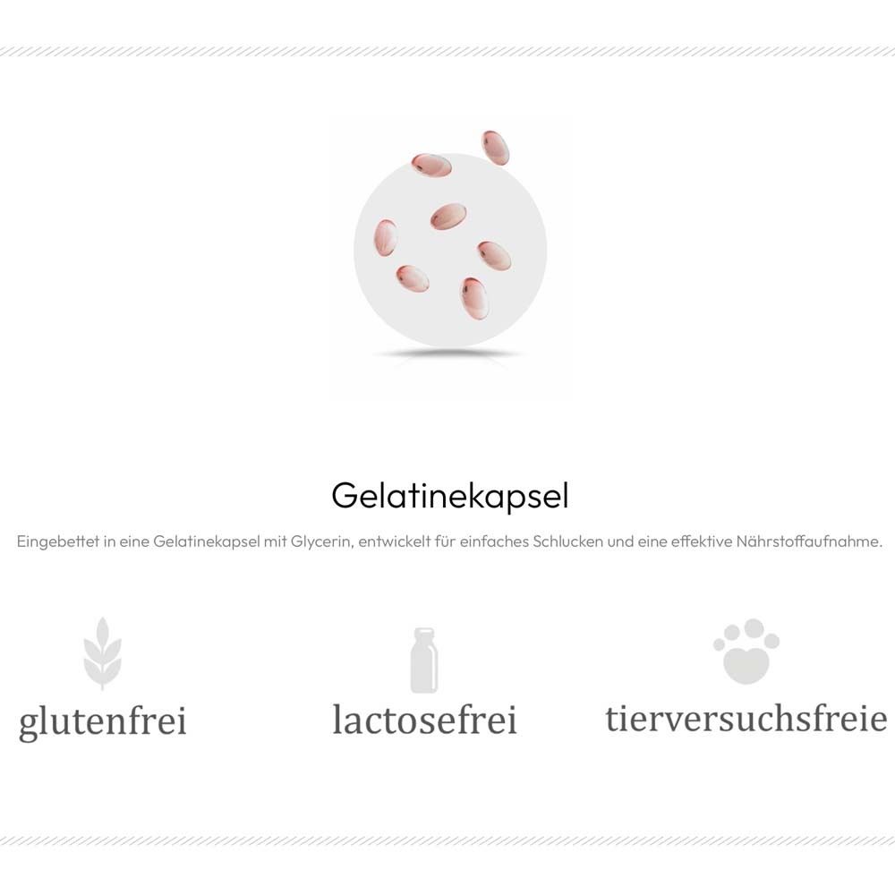 Graphique avec gélule. Gélule de gélatine. Sans gluten, sans lactose, sans expérimentation animale.