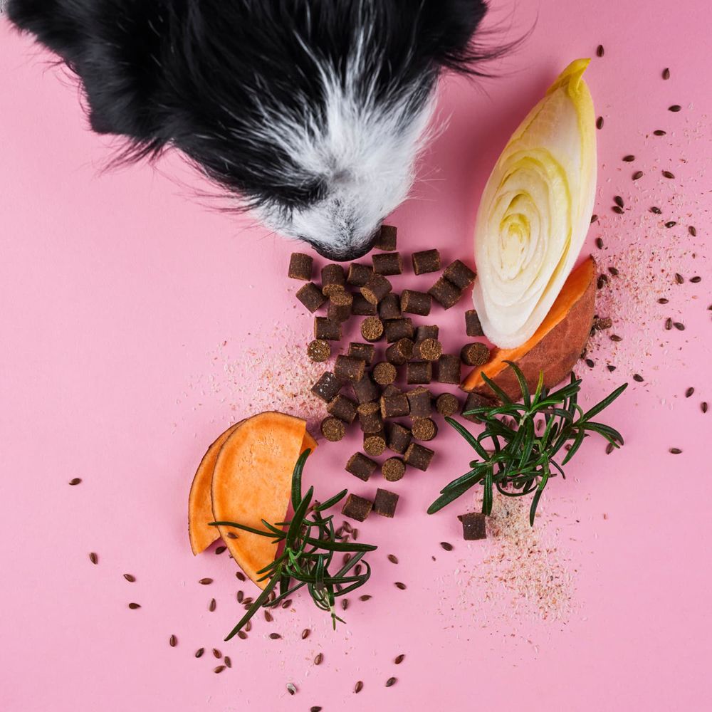 Drops pour chiens sur fond rose. Avec patate douce, endive et romarin. Un chien est dans l'image.