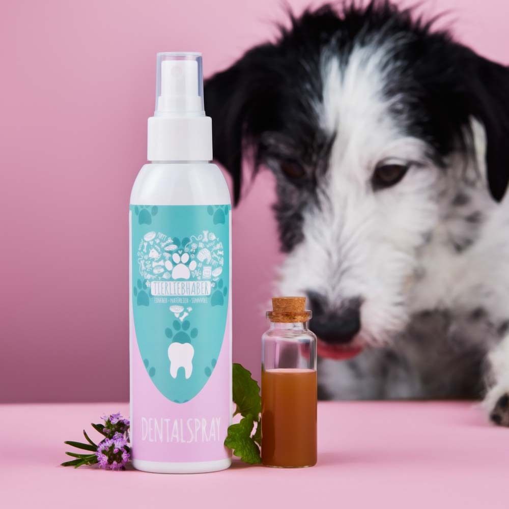 Flacon de spray dentaire, petite bouteille, chien. Fond rose. Inscription : DENTALSpray.