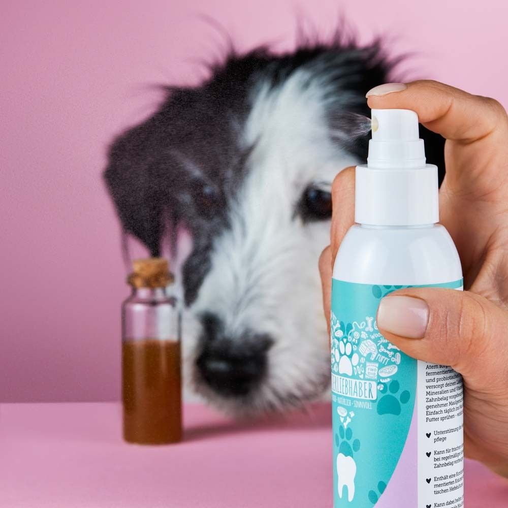 Main pulvérisant un spray dentaire. Chien en arrière-plan. Fond rose. Inscription : DENTALSpray.