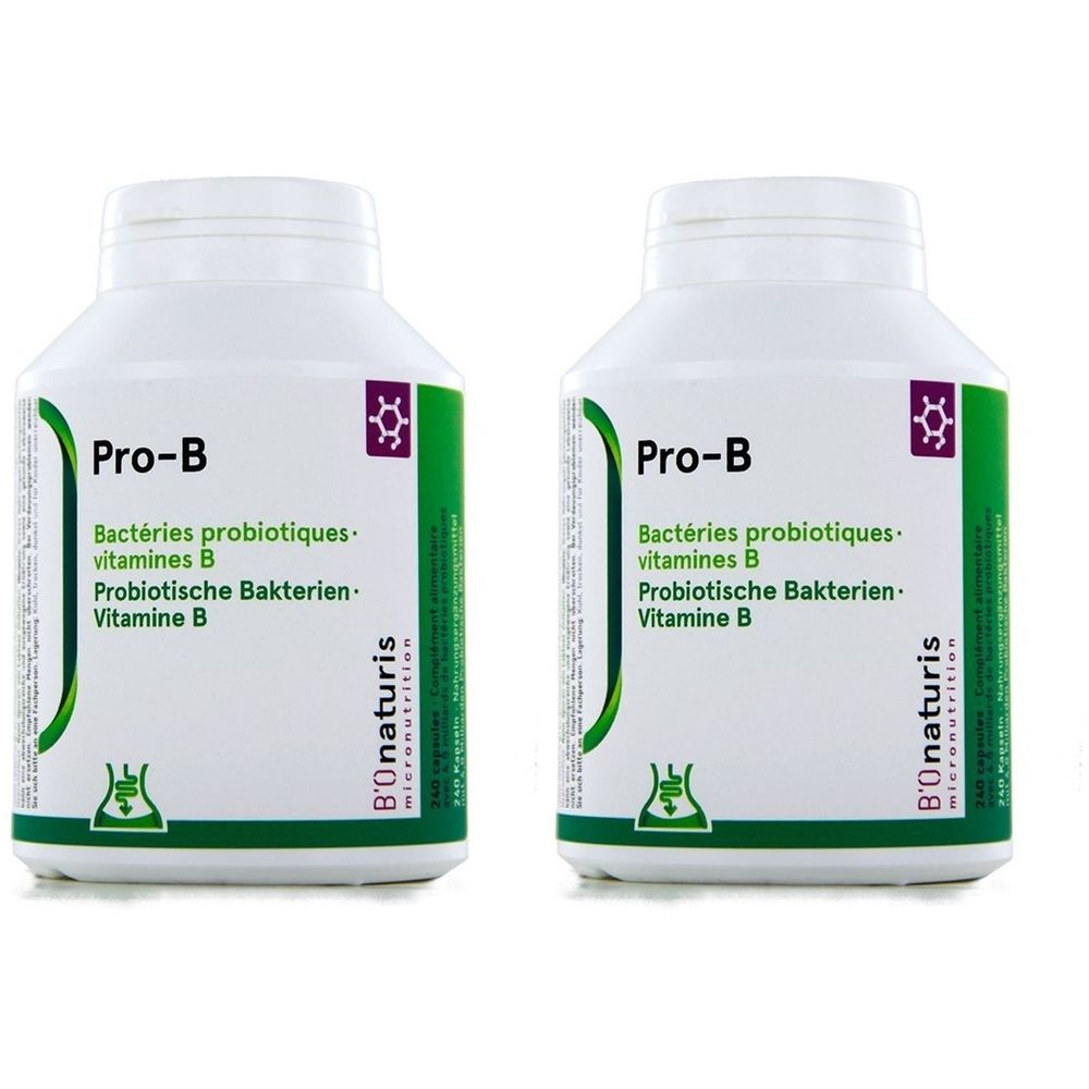 Zwei weiße Flaschen mit grünen und lila Etiketten. Aufschrift: Pro-B, probiotische Bakterien, Vitamin B. Marke: B'Onaturis.