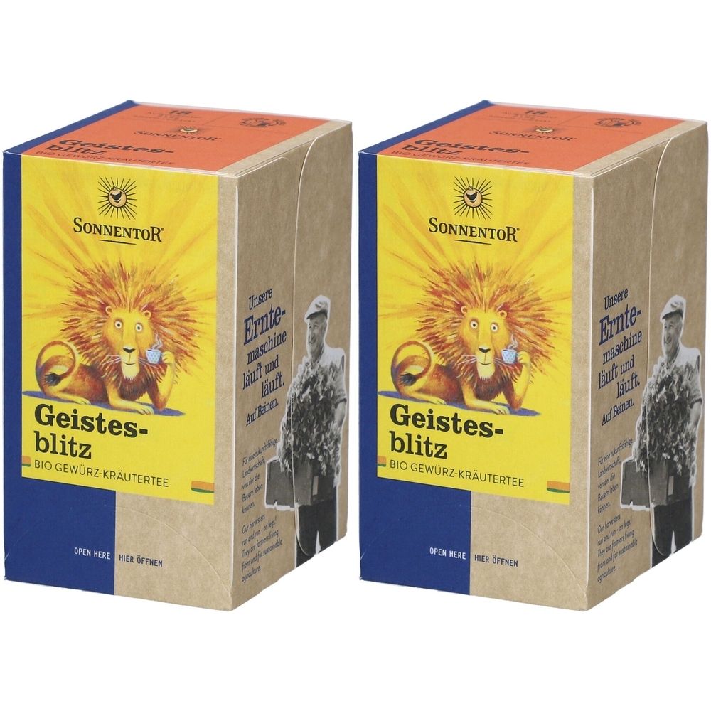 Zwei Kartons mit Aufdruck. Gelbes Etikett mit Löwen, Schriftzug Geistesblitz und Sonnentor. Bio-Kräutertee.