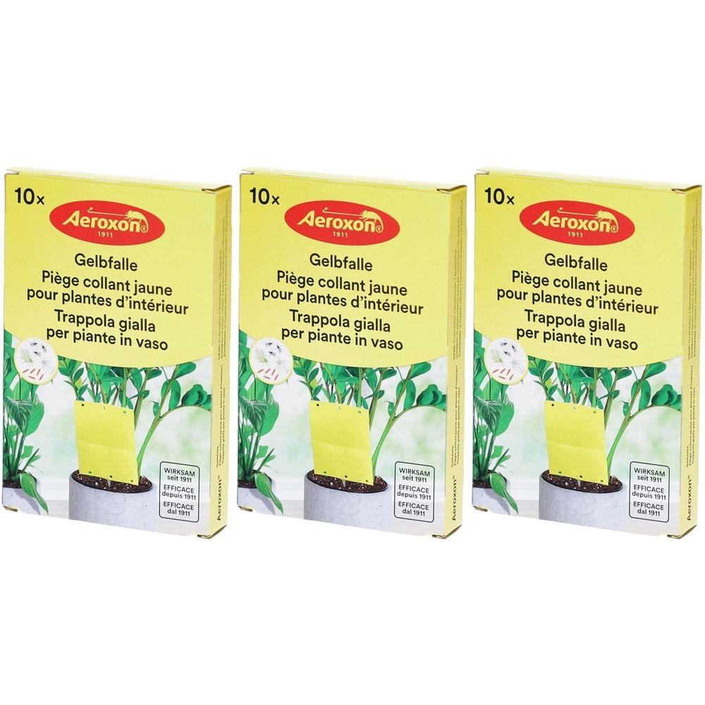 Drei Schachteln mit gelben Klebefallen für Zimmerpflanzen. Auf jeder Schachtel steht "Aeroxon" und "Gelbfalle".