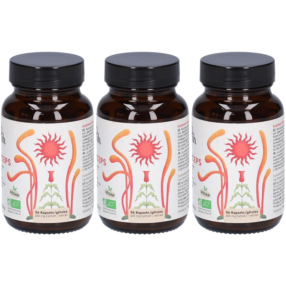 Drei braune Glasflaschen mit schwarzen Deckeln. Etiketten mit roter Sonne, Pflanzenmotiven und Text. Vegan-Siegel.