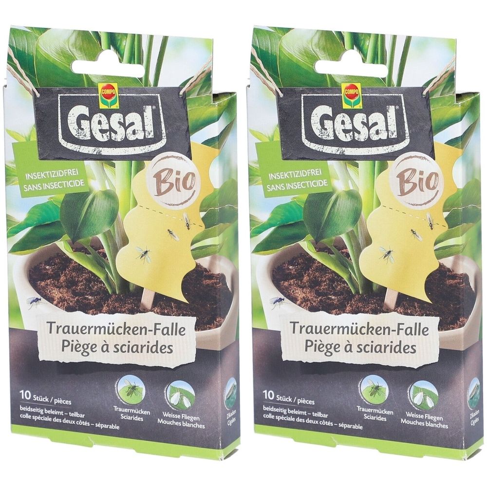 Zwei Packungen mit Insektenfallen. Auf jeder Packung steht "Gesal" und "Bio". Gelbe Fallen stecken in Töpfen mit Pflanzen.
